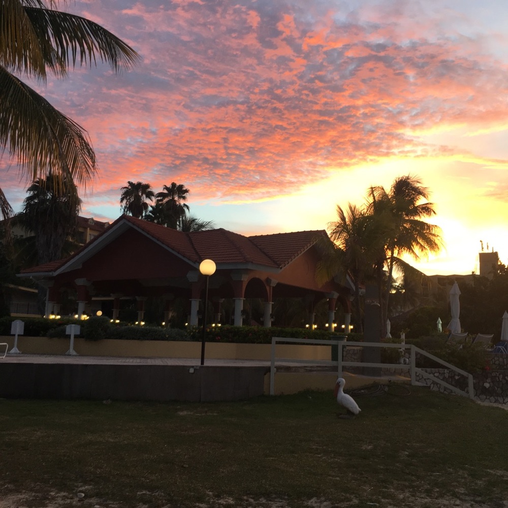 Meet your Posher, Ruth